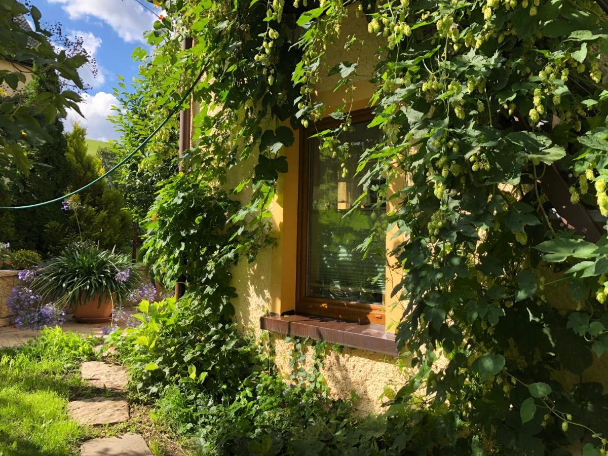 Ferienhaus Erzgebirge "An Der Trebe" Mit Kamin Und Sauna Нойхаузен Екстериор снимка