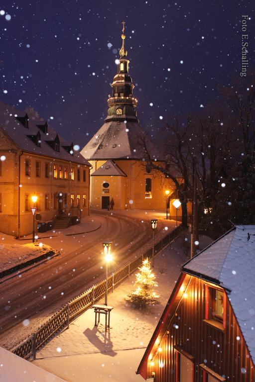 Ferienhaus Erzgebirge "An Der Trebe" Mit Kamin Und Sauna Нойхаузен Екстериор снимка