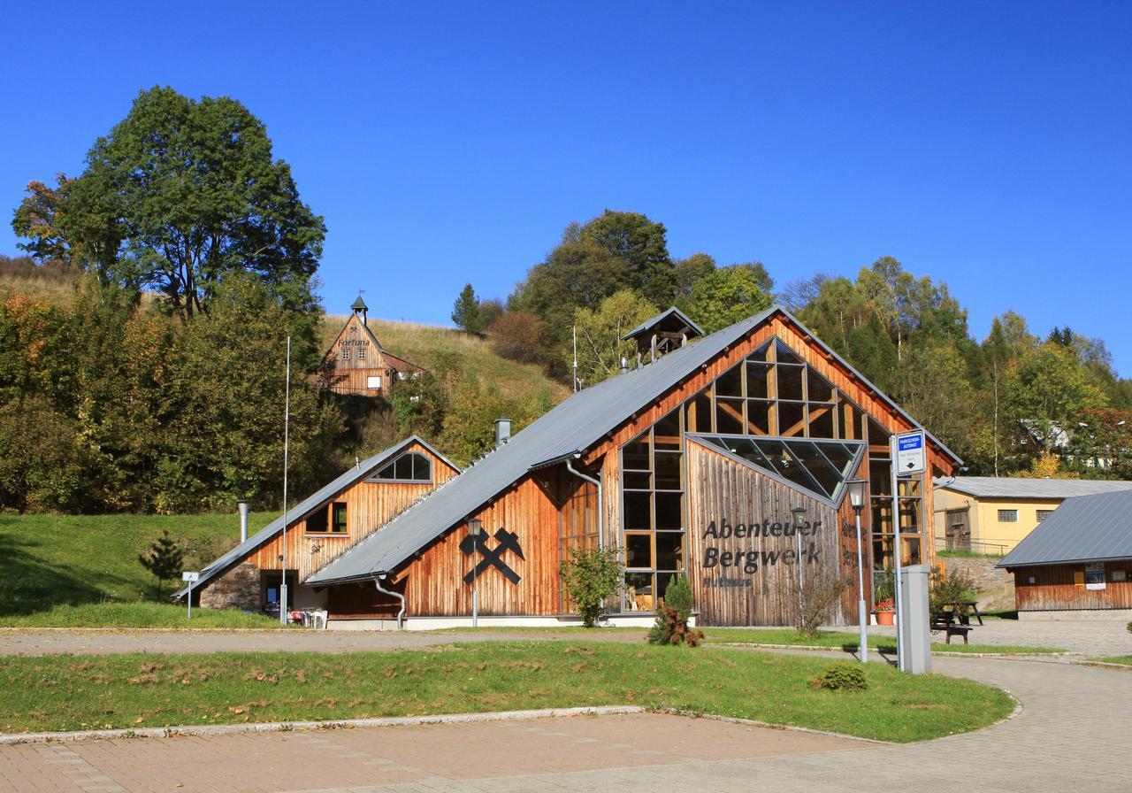Ferienhaus Erzgebirge "An Der Trebe" Mit Kamin Und Sauna Нойхаузен Екстериор снимка